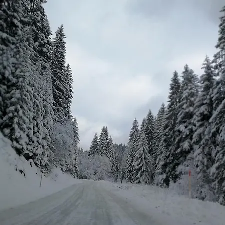 Vikendica Sljivo * Olovo (Zenica-Doboj)